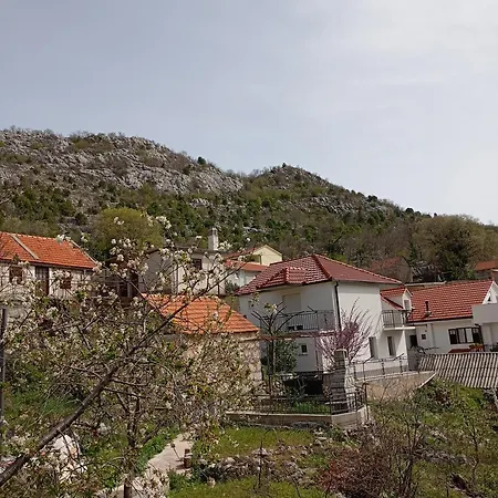 Apartman Maja *
